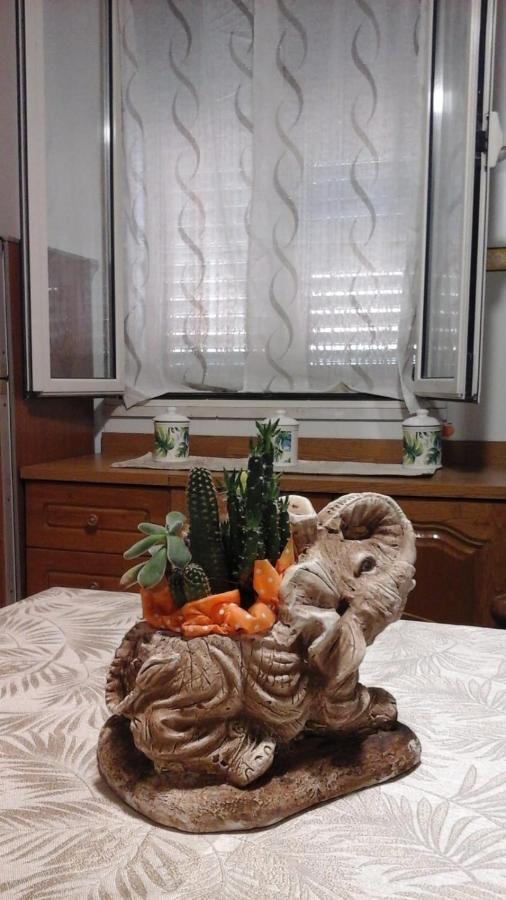 Cerda Casa Vacanza Da Sofi מראה חיצוני תמונה